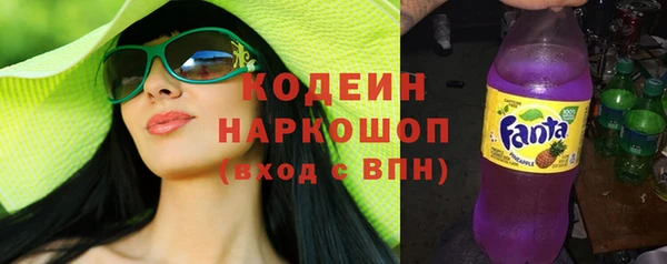стаф Бородино