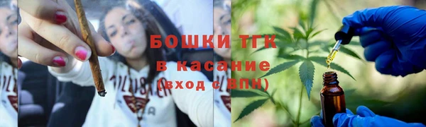стаф Бородино