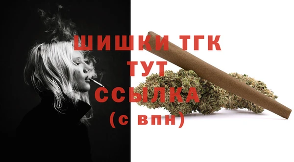 стаф Бородино