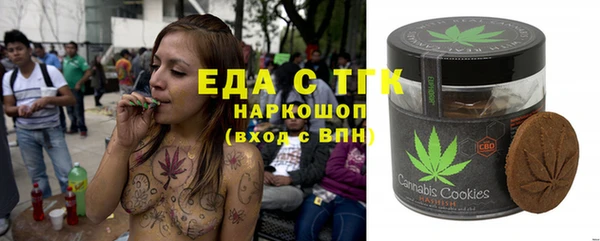 стаф Бородино