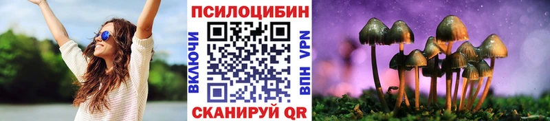 Псилоцибиновые грибы мухоморы  цены наркотик  Грязи 